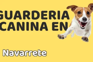 Guardería canina en Navarrete