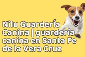 Nilu GuarderÍa Canina | guardería canina en Santa Fe de la Vera Cruz
