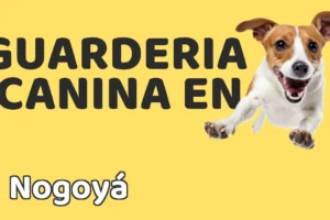 Guardería canina en Nogoyá