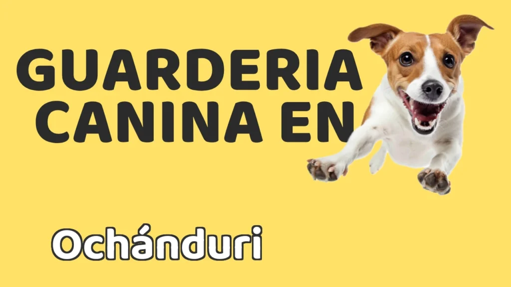 Guarderia Canina en Guardería canina en Ochánduri