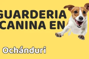 Guardería canina en Ochánduri