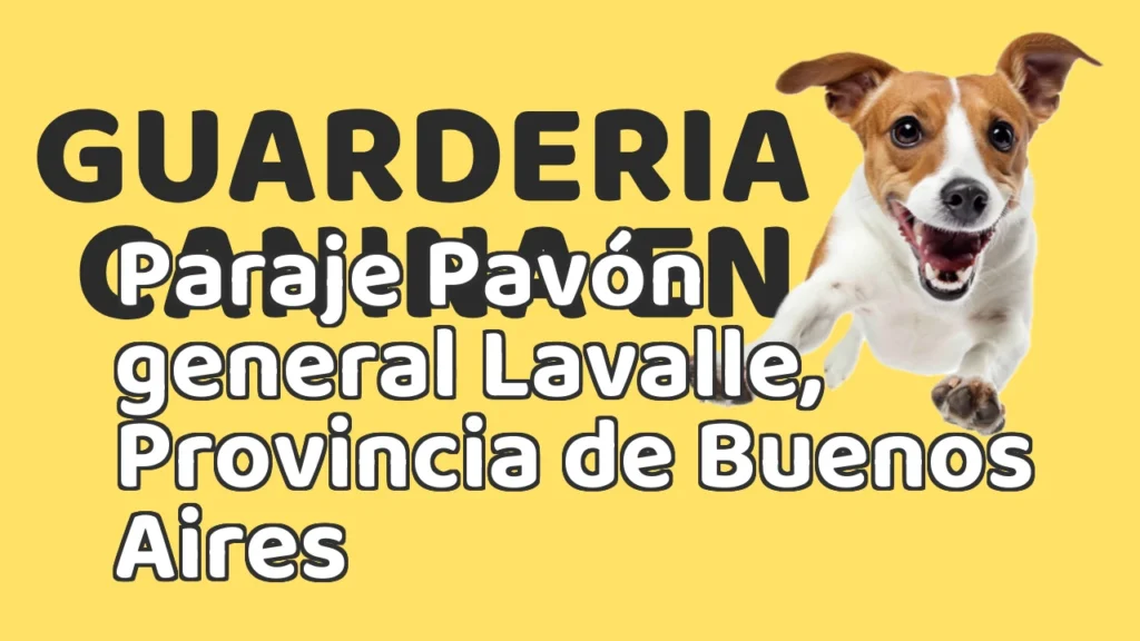 Guarderia Canina en Guardería canina en Paraje Pavón general Lavalle, Provincia de Buenos Aires