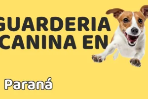 Guardería canina en Paraná
