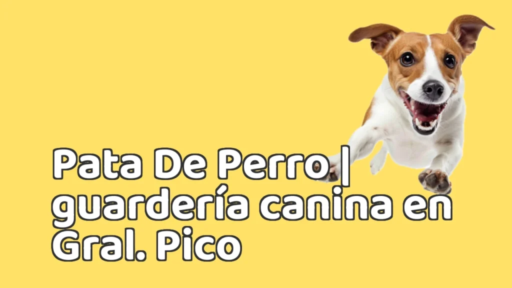 Guarderia Canina en Pata De Perro | guardería canina en Gral. Pico Guarderia Canina en Pata De Perro | guardería canina en Gral. Pico