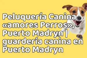 Peluquería Canina «amores Perros», Puerto Madryn | guardería canina en Puerto Madryn