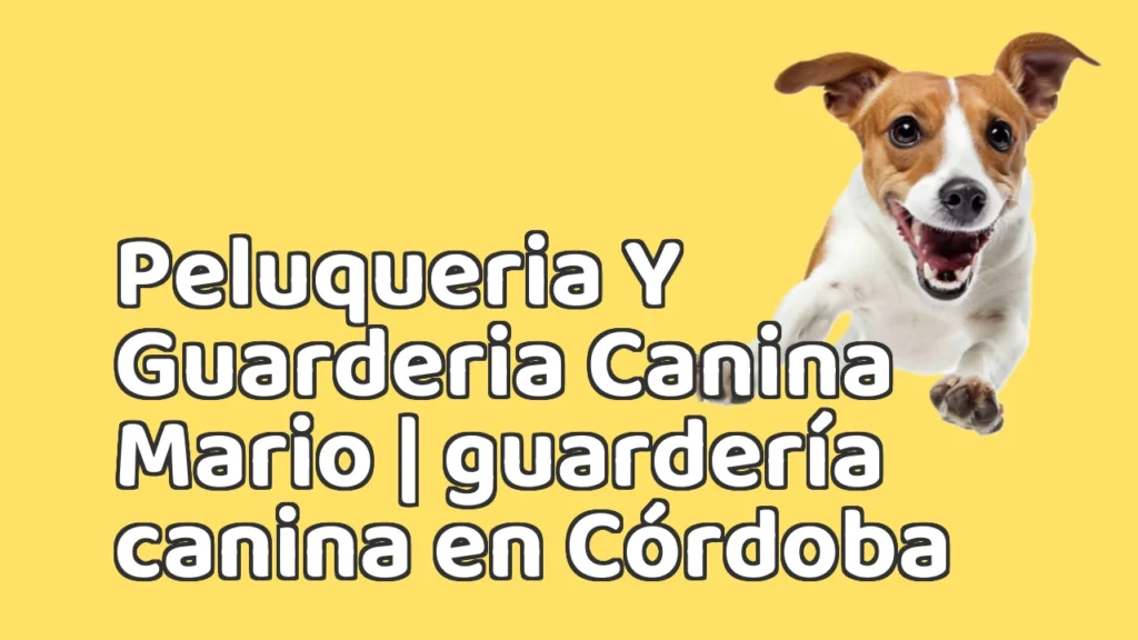 Guarderia Canina en Peluqueria Y Guarderia Canina Mario | guardería canina en Córdoba