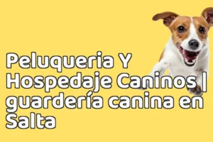 Peluqueria Y Hospedaje Caninos | guardería canina en Salta