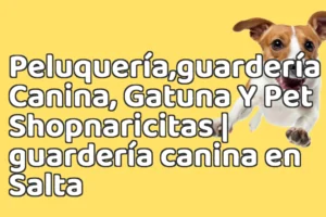 Peluquería,guardería Canina, Gatuna Y Pet Shopnaricitas | guardería canina en Salta