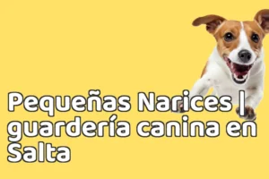 Pequeñas Narices | guardería canina en Salta