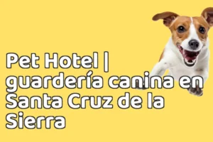 Pet Hotel | guardería canina en Santa Cruz de la Sierra