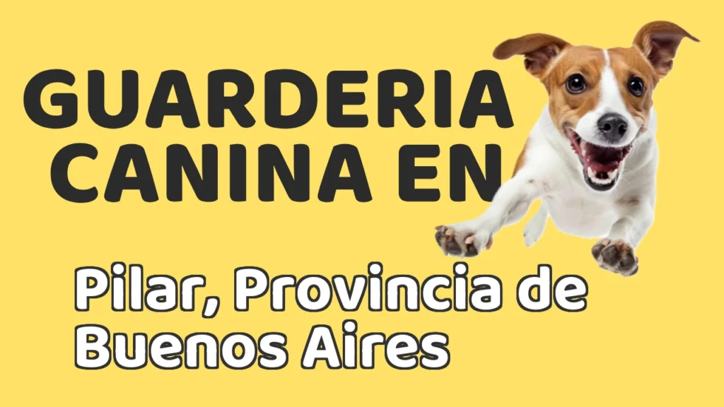 Guarderia Canina en Guardería canina en Pilar, Provincia de Buenos Aires