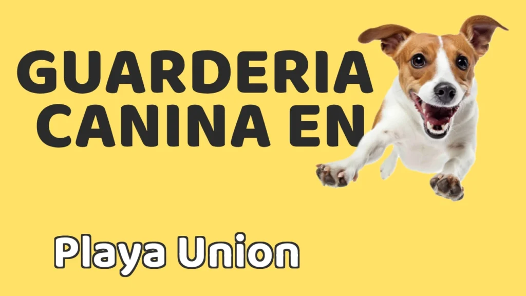Guarderia Canina en Guardería canina en Playa Union