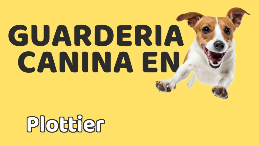 Guarderia Canina en Guardería canina en Plottier