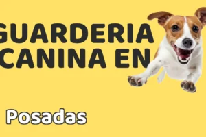 Guardería canina en Posadas