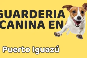 Guardería canina en Puerto Iguazú