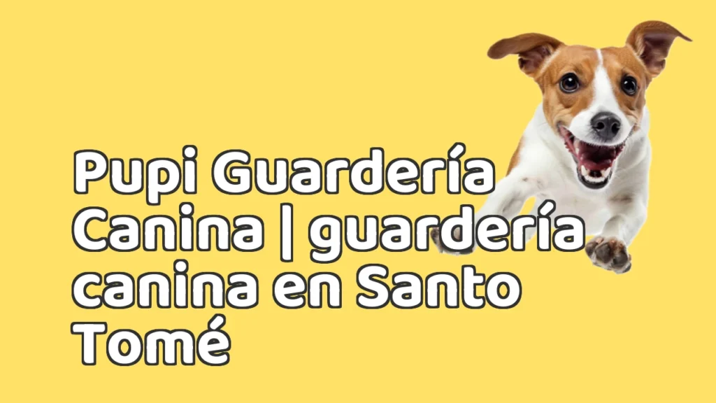 Guarderia Canina en Pupi Guardería Canina | guardería canina en Santo Tomé Guarderia Canina en Pupi Guardería Canina | guardería canina en Santo Tomé