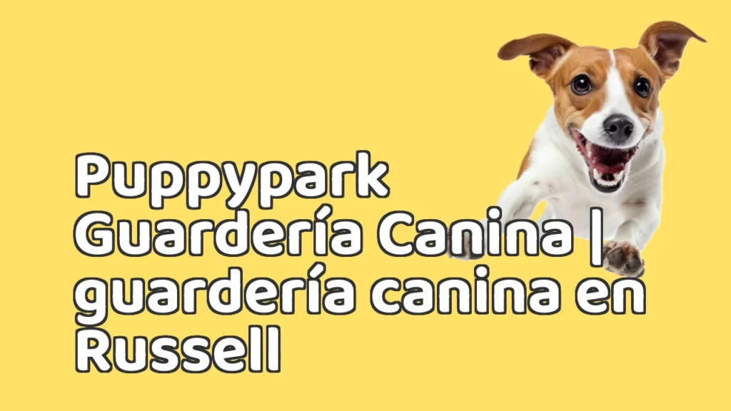 Guarderia Canina en Puppypark Guardería Canina | guardería canina en Russell Guarderia Canina en Puppypark Guardería Canina | guardería canina en Russell
