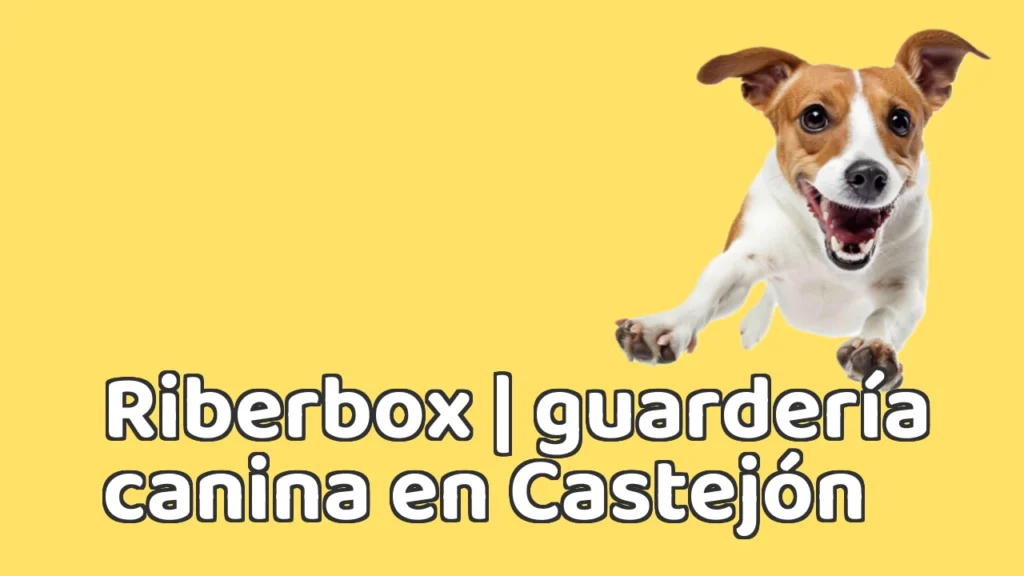 Guarderia Canina en Riberbox | guardería canina en Castejón