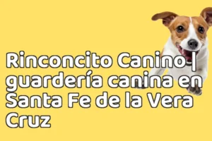 Rinconcito Canino | guardería canina en Santa Fe de la Vera Cruz