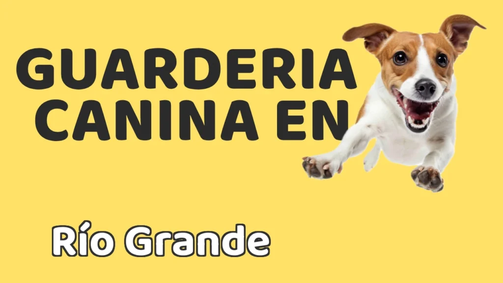 Guarderia Canina en Guardería canina en Río Grande