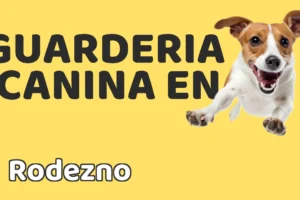 Guardería canina en Rodezno