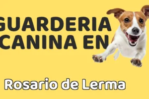 Guardería canina en Rosario de Lerma