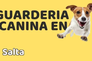 Guardería canina en Salta