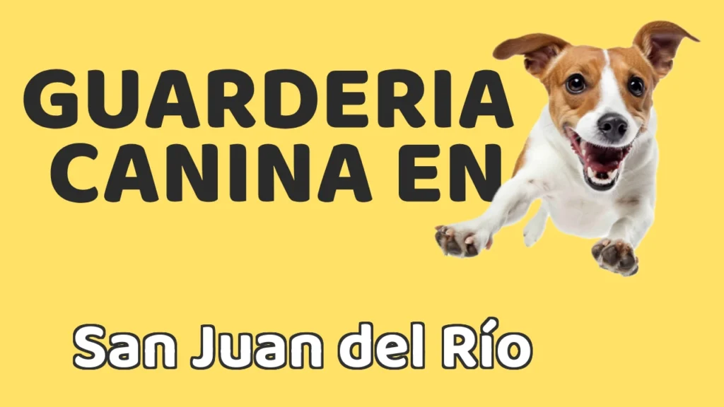 Guarderia Canina en Guardería canina en San Juan del Río