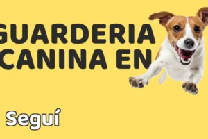 Guardería canina en Seguí