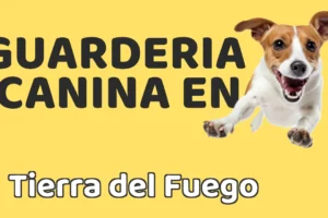 Guardería canina en Tierra del Fuego