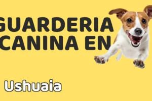 Guardería canina en Ushuaia