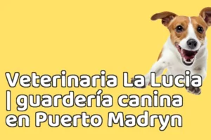 Veterinaria La Lucia | guardería canina en Puerto Madryn