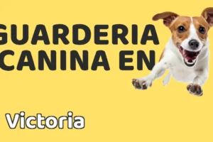 Guardería canina en Victoria