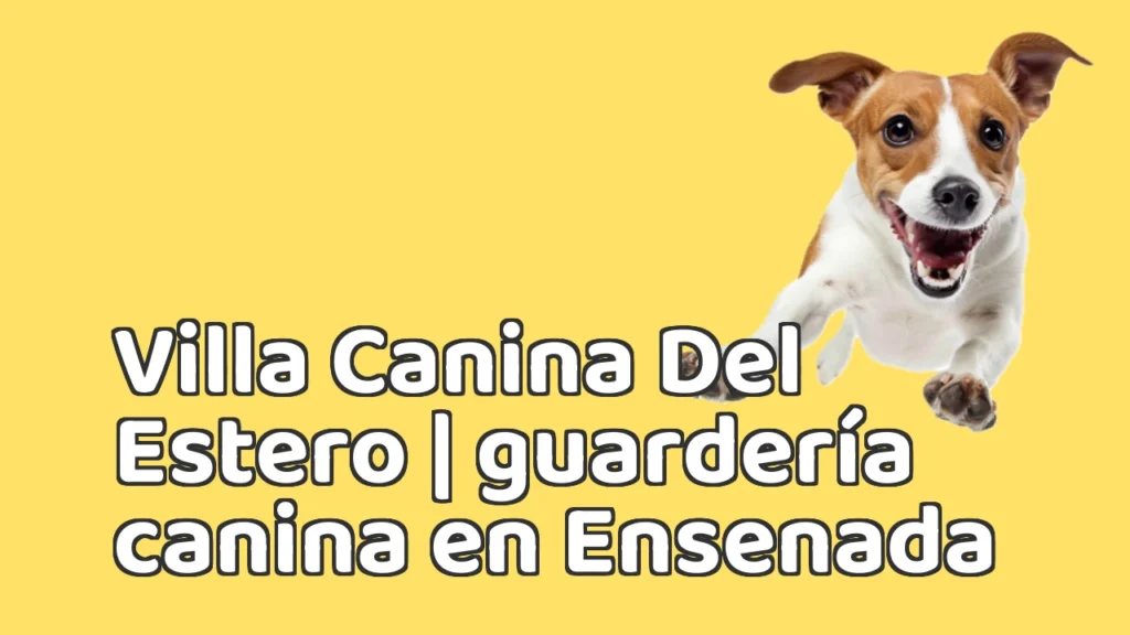 Guarderia Canina en Villa Canina Del Estero | guardería canina en Ensenada Guarderia Canina en Villa Canina Del Estero | guardería canina en Ensenada