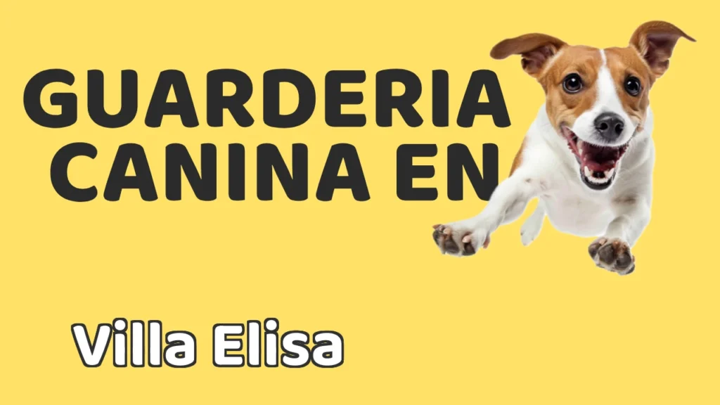 Guarderia Canina en Guardería canina en Villa Elisa