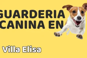 Guardería canina en Villa Elisa