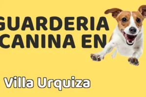 Guardería canina en Villa Urquiza
